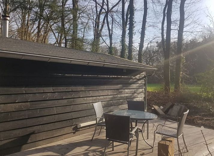 Cottage in Schijf, vacation home in West Brabant with wooded surroundings and modern look.