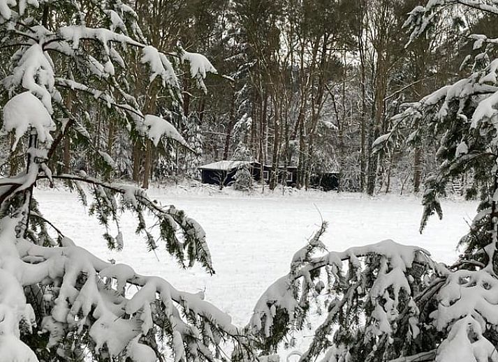 Terrace of Cottage in Schijf, vacation home in North Brabant with comfortable seating.