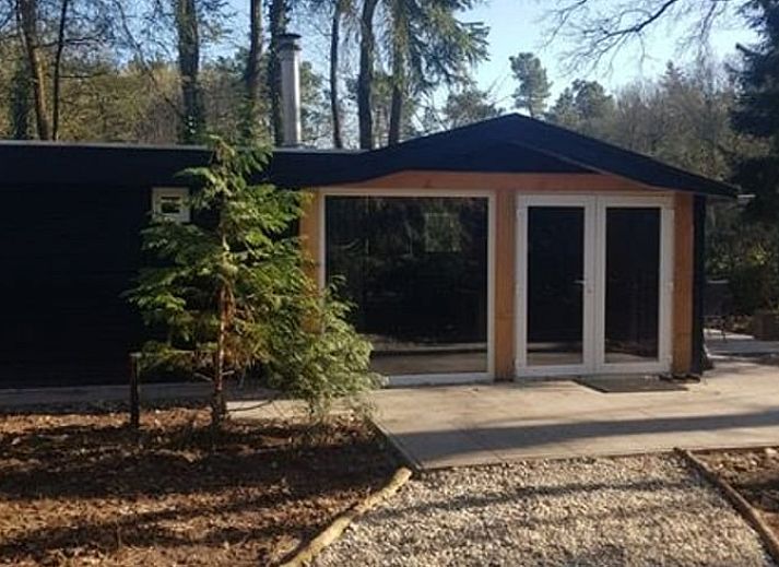 Green surroundings of Huisje in Schijf, vacation home in wooded North Brabant.