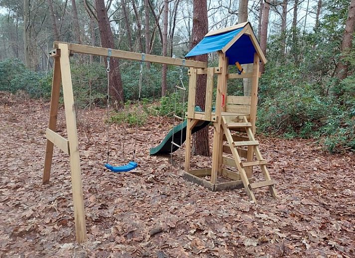 Green surroundings of Huisje in Schijf, vacation home in wooded North Brabant.