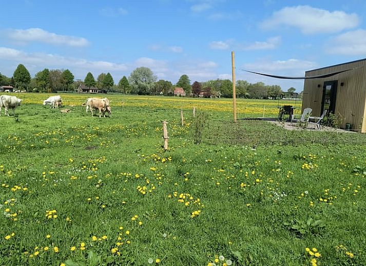 Guest house 444009 • Holiday property West Brabant • Huisje in Schijf