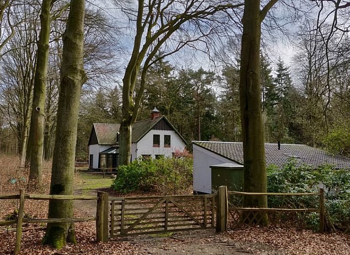 Gezellig terras bij Huisje in Putte, vakantiehuis in West Brabant, Noord Brabant.