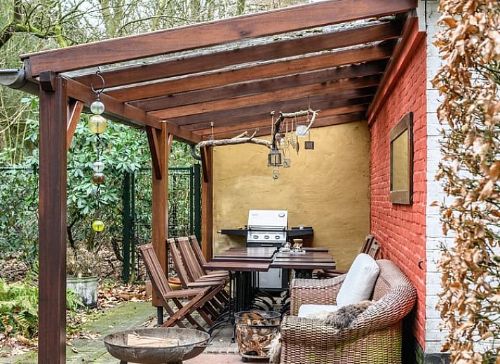 Bosrijke omgeving van Huisje in Putte, vakantiehuis in West Brabant, Noord Brabant.