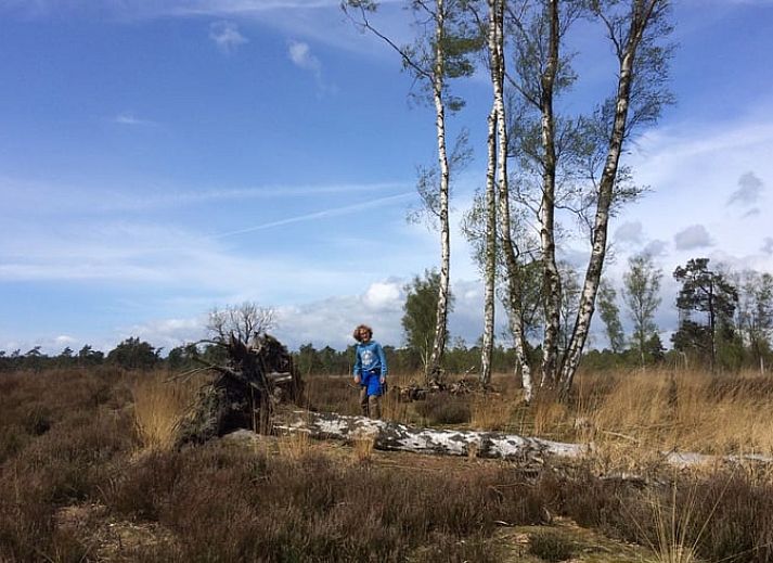 Charmante gevel van Huisje in Putte, vakantiehuis in West Brabant, Noord Brabant.