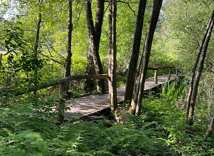 Stylish bedroom in Holiday home in Strijbeek, relaxing stay in North Brabant.