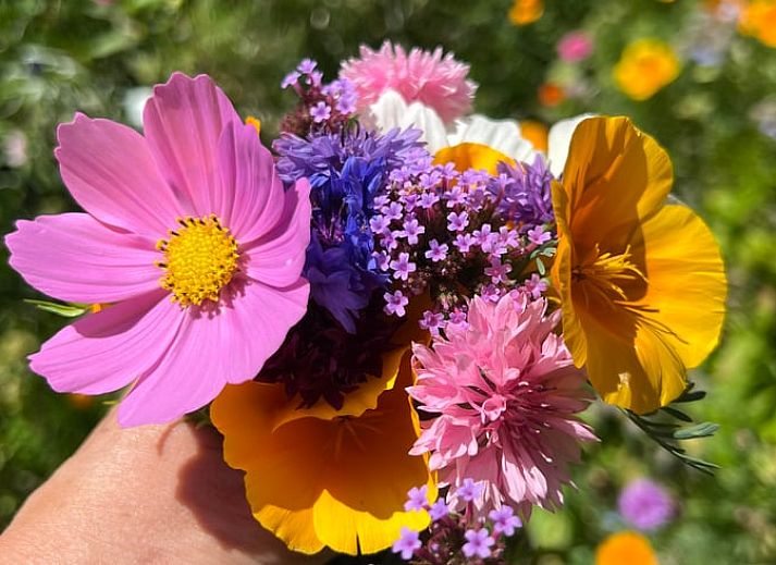 Stylish bedroom in Holiday home in Strijbeek, relaxing stay in North Brabant.