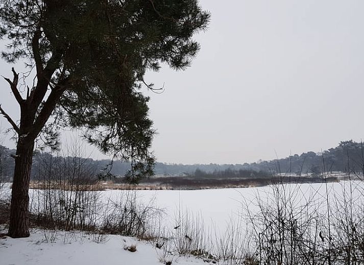 Guest house 444402 - Holiday property West Brabant - Vakantiehuis in Strijbeek