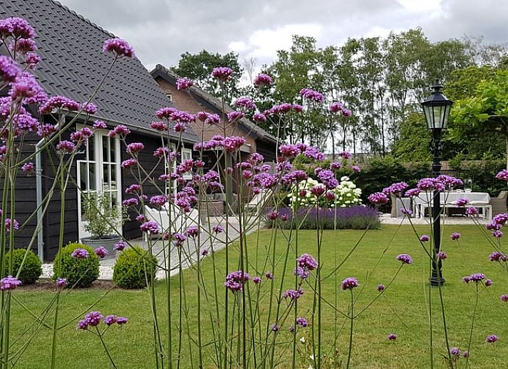 Guest house 444402 - Holiday property West Brabant - Vakantiehuis in Strijbeek