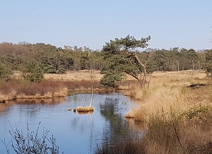 Guest house 444402 - Holiday property West Brabant - Vakantiehuis in Strijbeek
