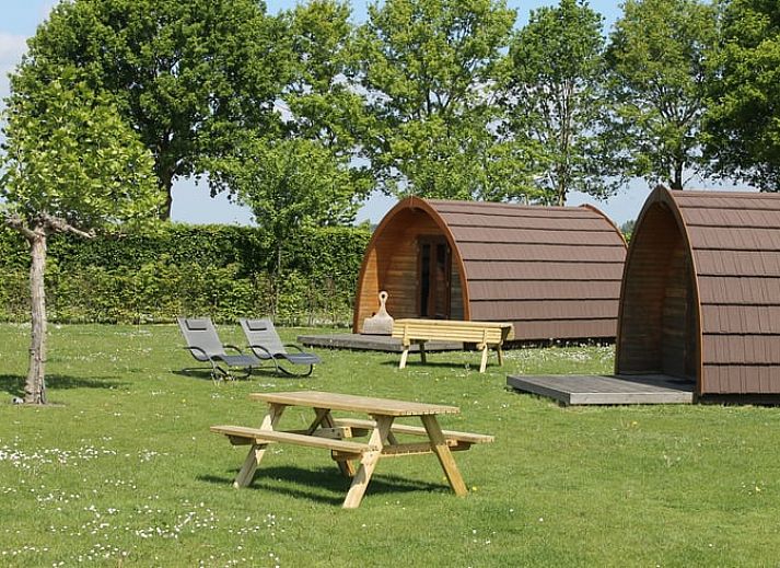 Geniet van de rust op het terras van Vakantiehuis in Terheijden, een knus verblijf in West Brabant, Noord Brabant.