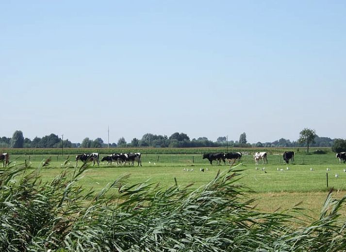 Verblijf 444619 - Vakantiewoning West Brabant - Vakantiehuisje in Wagenberg