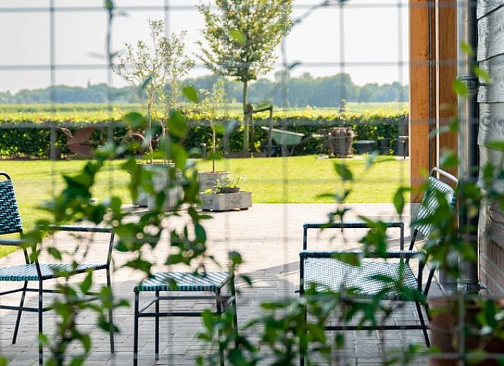 Guest house 444801 - Holiday property West Brabant - Vakantiehuisje in Dorst