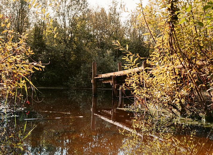 Verblijf 444803 - Vakantiewoning West Brabant - Tipi