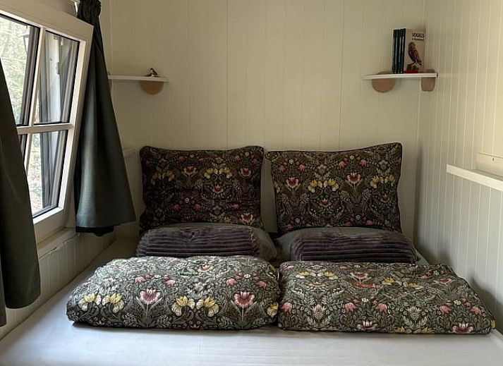 Guest house 445501 - Holiday property West Brabant - Vakantiehuisje in Teteringen