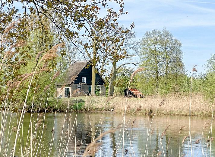 Guest house 445802 - Holiday property West Brabant - Biesboschhuisje