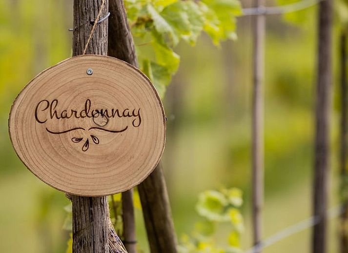 Spacious bedroom in Holiday Home in Fijnaart, North Brabant with wooden floor and cozy furnishings.