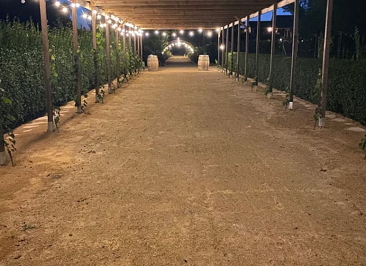 Chardonnay sign in the vineyard surroundings of Holiday home in Fijnaart, West Brabant.