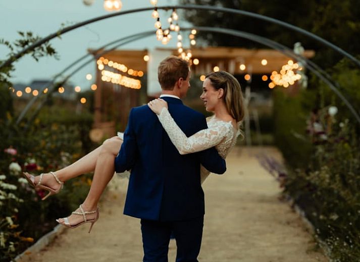 Romantic walking tour in the vineyard near Holiday home in Fijnaart, North Brabant.