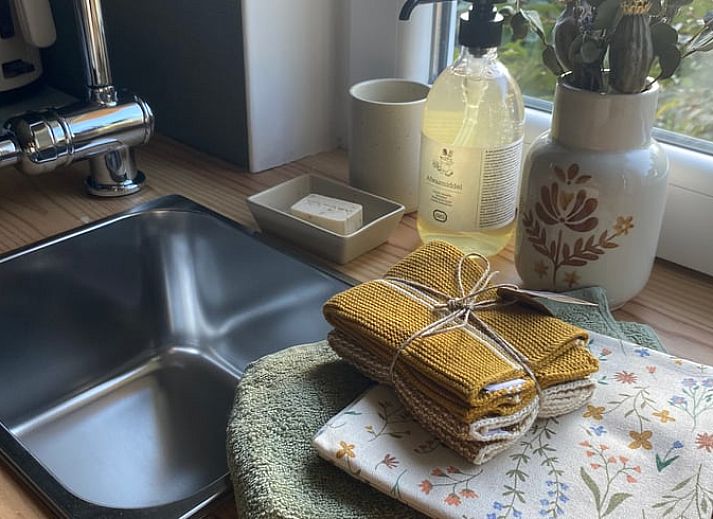 Romantic walking tour in the vineyard near Holiday home in Fijnaart, North Brabant.