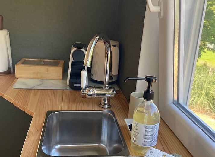 Romantic walking tour in the vineyard near Holiday home in Fijnaart, North Brabant.