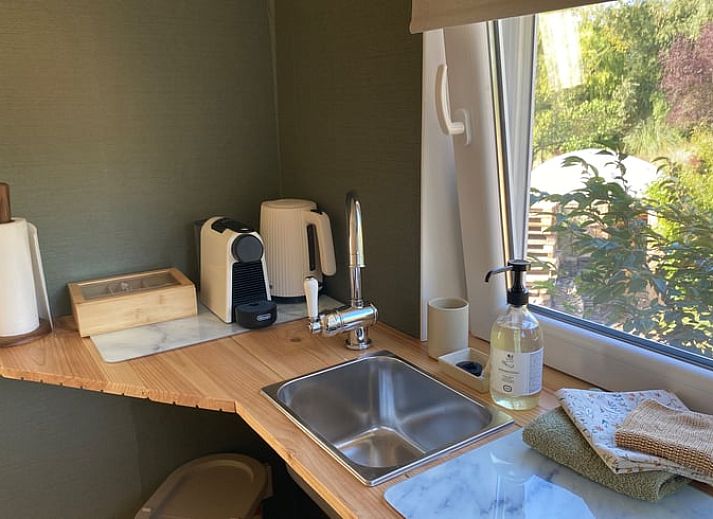 Romantic walking tour in the vineyard near Holiday home in Fijnaart, North Brabant.