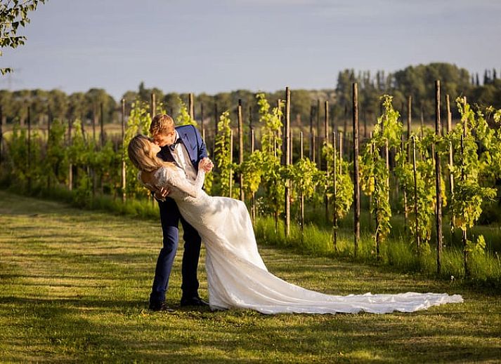 Cozy fire pit in the garden of Holiday Home in Fijnaart, West Brabant.