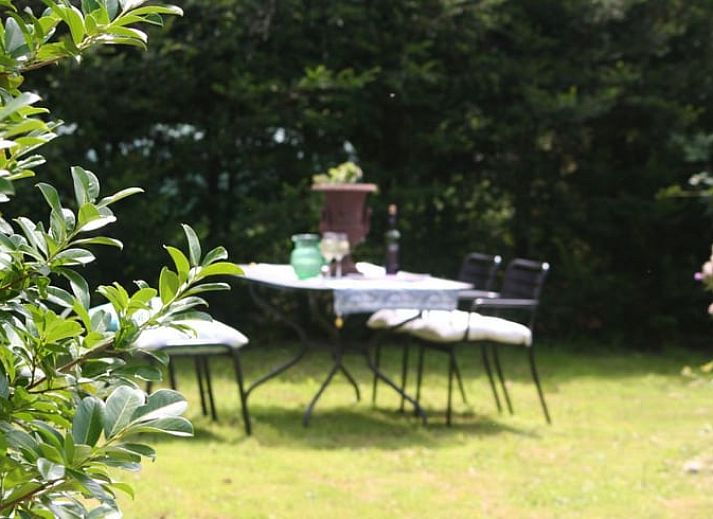 Charmant Huisje in Moerstraten, West Brabant met rieten dak en zonnige tuin, perfect vakantiehuis in de natuur van Noord Brabant.