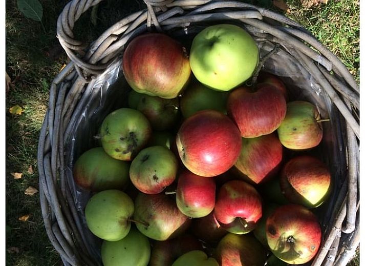 Charmant Huisje in Moerstraten, West Brabant met rieten dak en zonnige tuin, perfect vakantiehuis in de natuur van Noord Brabant.