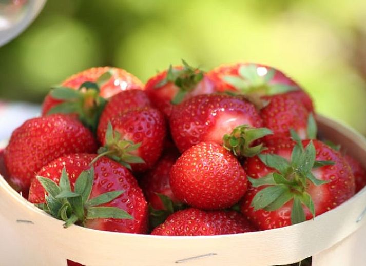 Charmant Huisje in Moerstraten, West Brabant met rieten dak en zonnige tuin, perfect vakantiehuis in de natuur van Noord Brabant.