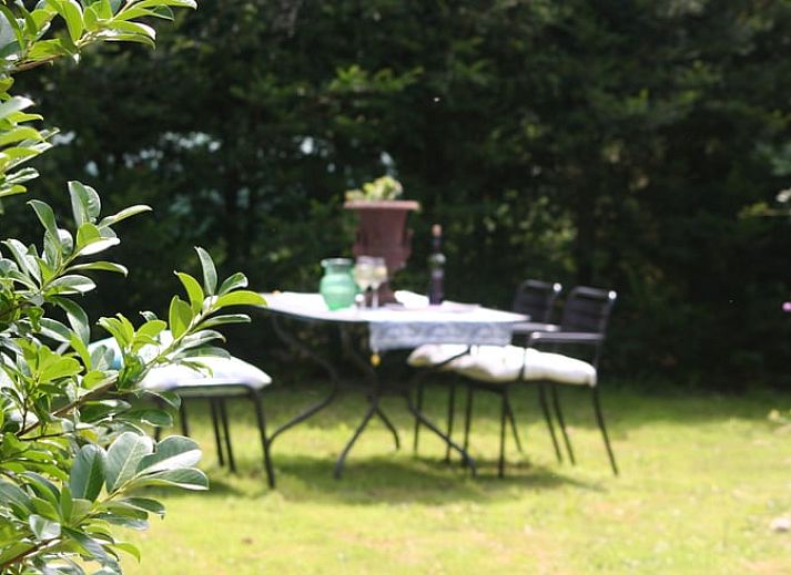 Vakantiehuisje in Moerstraten, Noord Brabant met charmant rieten dak en zonnige tuin. Perfecte vakantiewoning in West Brabant te midden van de natuur.