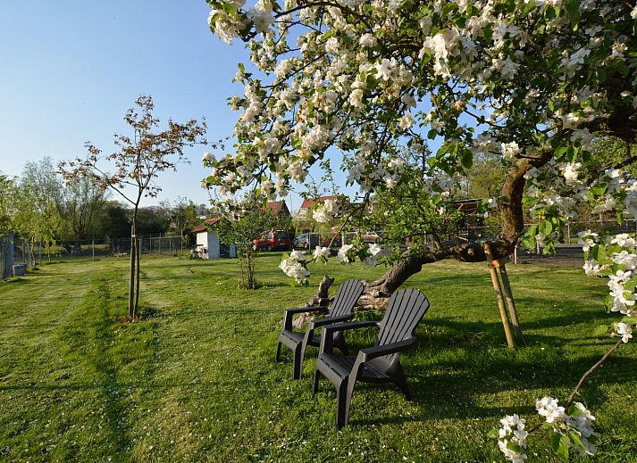 Verblijf 446301 - Vakantiewoning West Brabant - Pipowagen «de Weideblick»