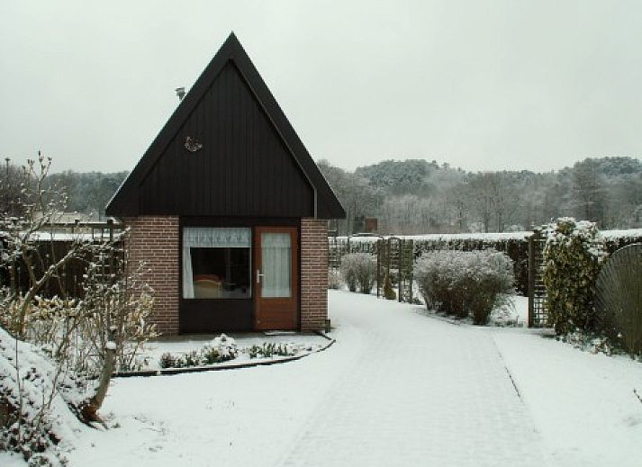 Guest house 450115 - Holiday property Noordzeekust - de Vlinder