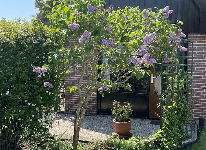 Guest house 450115 - Holiday property Noordzeekust - de Vlinder