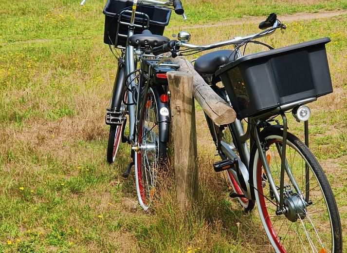 Guest house 4501195 - Tent house Noordzeekust - Luxe ingerichte safaritent