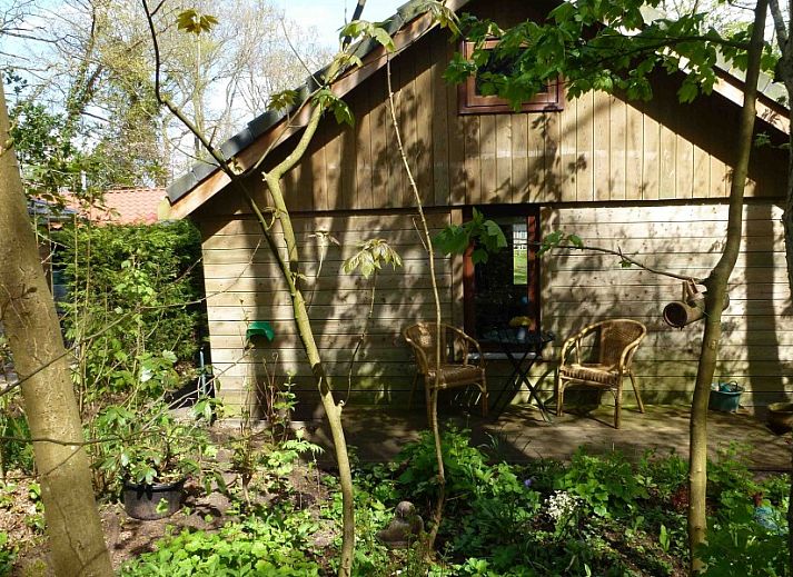 Gemtliches Interieur des Huisje Nr. 10 in Schoorl, Ferienhaus mit Holzinterieur und komfortabler Sitzecke.