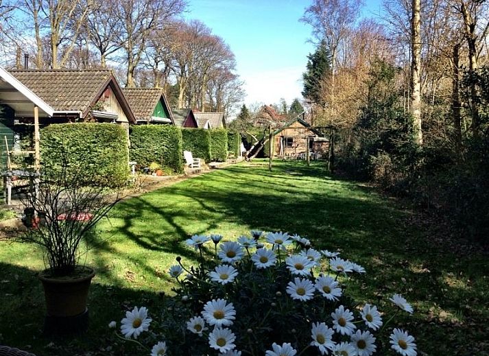 Gemtliches Interieur des Huisje Nr. 10 in Schoorl, Ferienhaus mit Holzinterieur und komfortabler Sitzecke.