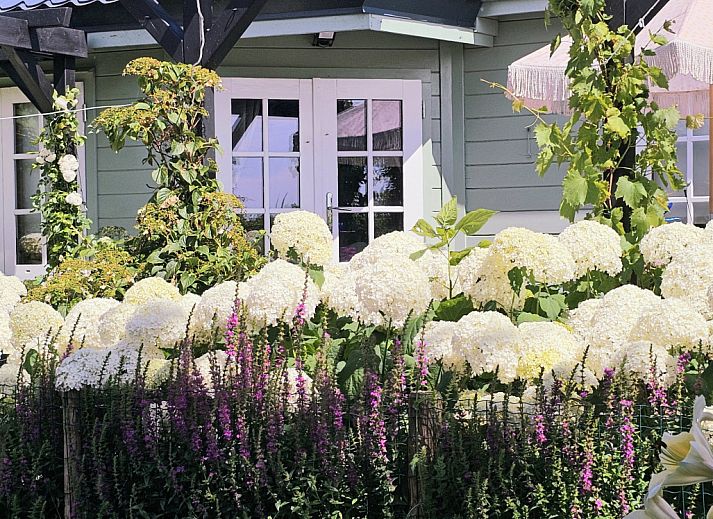 Unterkunft 4502108 - Ferienhaus Noordzeekust - NH580