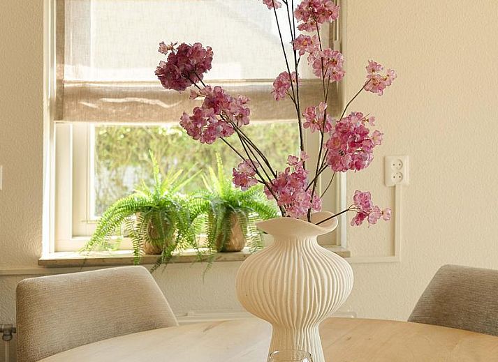 Guest house 4502114 - Holiday property Noordzeekust - Strandslag Bungalow 68