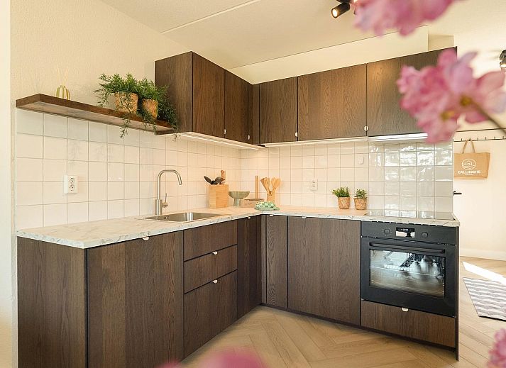 Guest house 4502114 - Holiday property Noordzeekust - Strandslag Bungalow 68