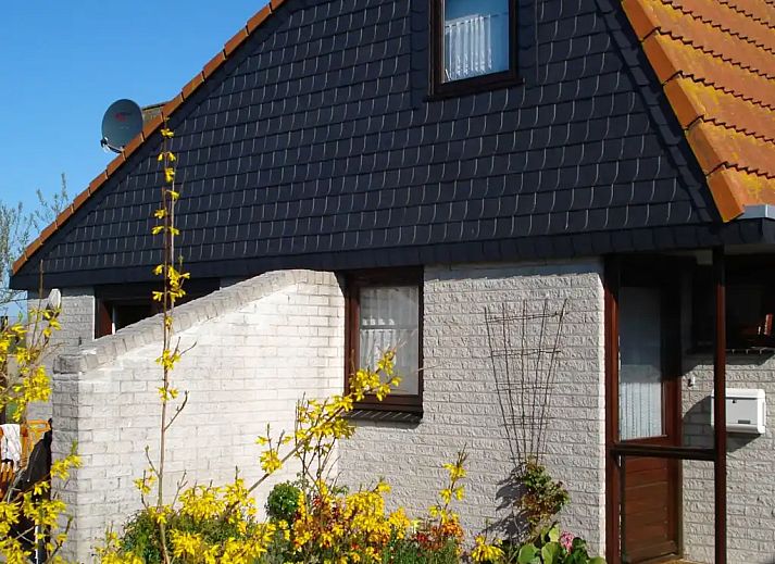 Unterkunft 450231 - Ferienhaus Noordzeekust - Vakantiehuis Tulpenzicht