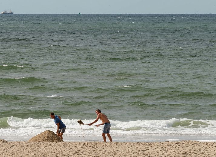 Verblijf 450233 - Vakantiewoning Noordzeekust - De Strandvogel