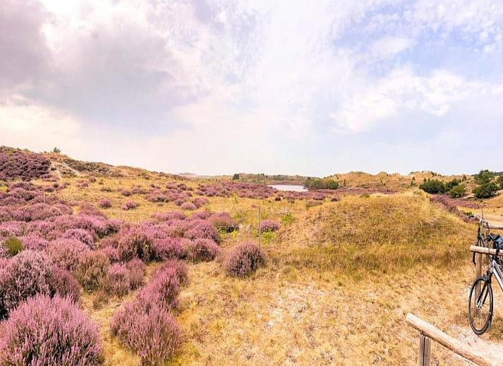 Verblijf 450233 - Vakantiewoning Noordzeekust - De Strandvogel