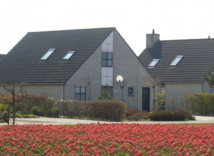 Guest house 450237 • Holiday property Noordzeekust • Duinvilla Noor