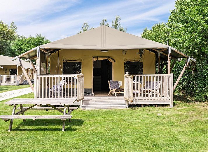 Strandtent 8 personen in Julianadorp, Noordzeekust. Luxe safaritent met veranda en groene omgeving in Noord-Holland.