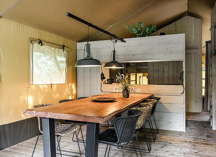 Strandtent 8 personen in Julianadorp, Noordzeekust. Luxe safaritent met veranda en groene omgeving in Noord-Holland.