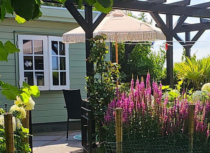 Verblijf 450262 • Vakantiewoning Noordzeekust • Villa Comfort 6