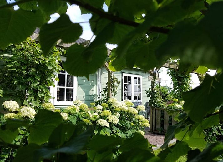 Verblijf 450262 - Vakantiewoning Noordzeekust - Vakantiehuis in Julianadorp