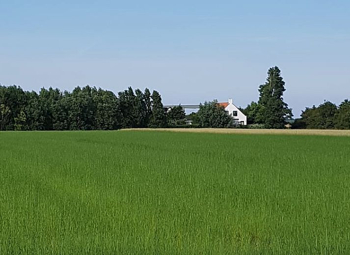Verblijf 450262 - Vakantiewoning Noordzeekust - Vakantiehuis in Julianadorp