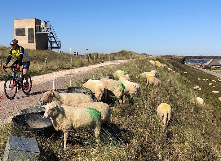Blick von der Strandschlacht 225 Julianadorp aan zee ueber die Duenen an der Nordseekueste in Julianadorp.