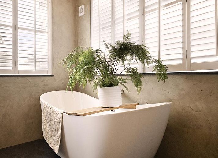 Guest house 450280 - Holiday property Noordzeekust - Orchis 13